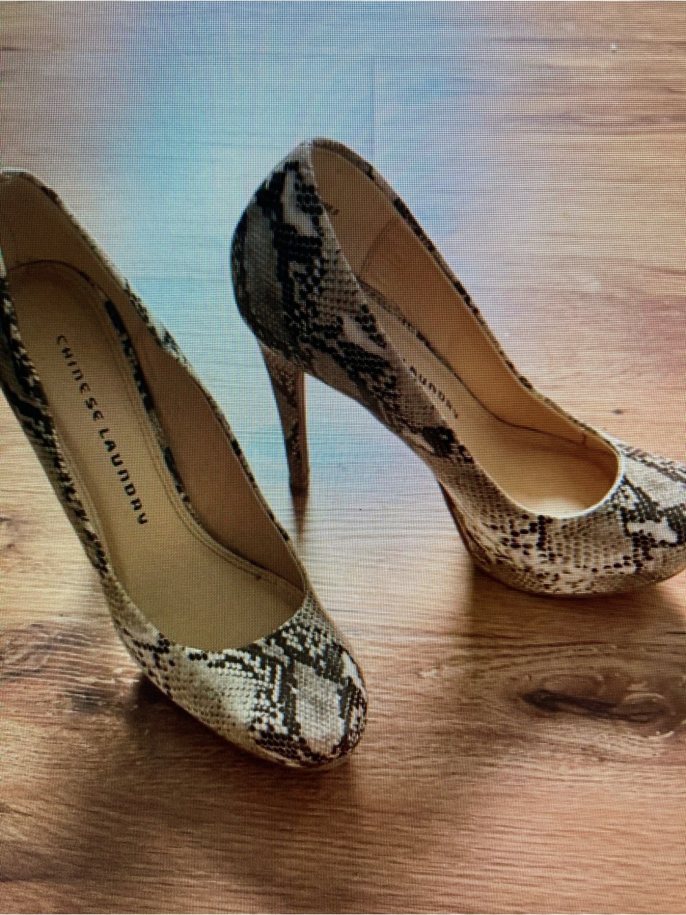Chinese Laundry Snake-Print Pointed Toe Stiletto Pumps - Beige & Black